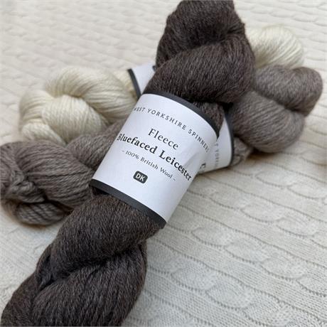 WYS Blue Faced Leicester DK Image 1