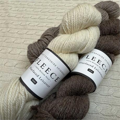 WYS Blue Faced Leicester Aran Image 1