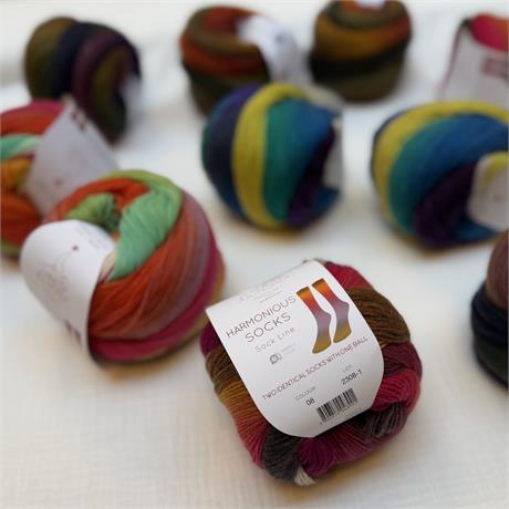 Laines Du Nord Harmonious Socks Image 1