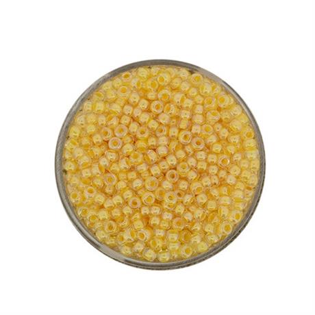 PINEAPPLE GLASS ROCAILLES 2.6MM 17G Image 1