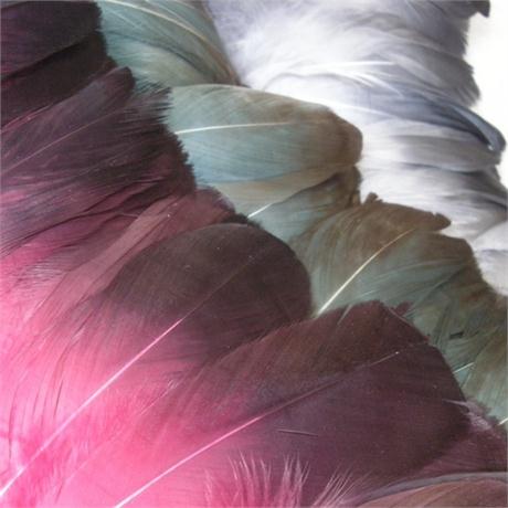 Dip-Dyed Goose Fringe Image 1