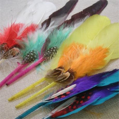 Small Feather Mounts Image 1