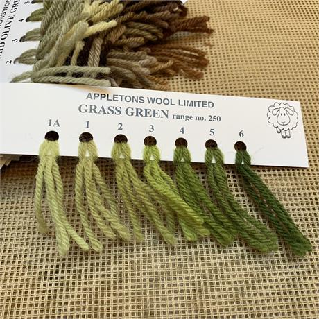 Appletons 4-ply Tapestry Wool Skein  Grass Green - 10m Image 1