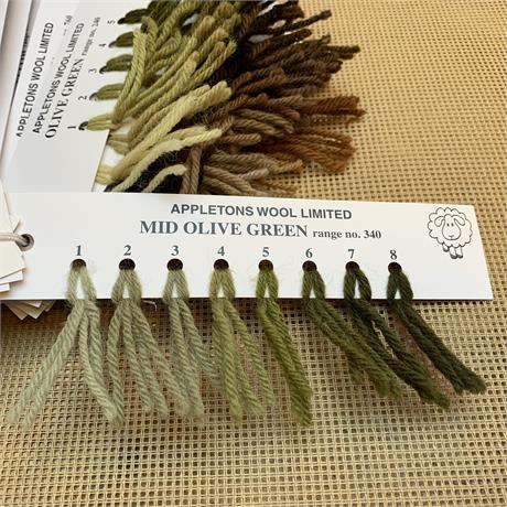 Appletons 4-ply Tapestry Wool Skein - Mid Olive Green - 10m Image 1