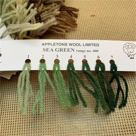 Appletons 4-ply Tapestry Wool Skein Sea Green - 10m Image 1