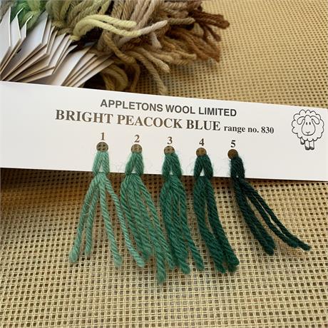 Appletons 4-ply Tapestry Wool Skein Bright Peacock Blue - 10m Image 1