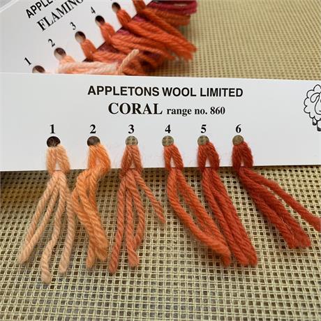 Appletons 4-ply Tapestry Wool Skein Coral - 10m Image 1