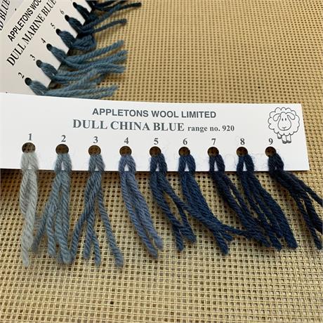 Appletons 4-ply Tapestry Wool Skein Dull China Blue - 10m Image 1