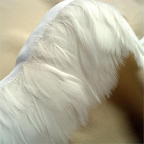 Goose Coquille Fringe Image 1