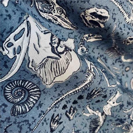 Fossil Dinosaur Print Image 1