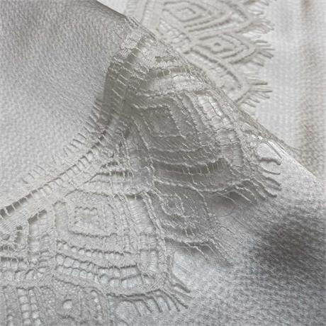French Lace Border Image 1