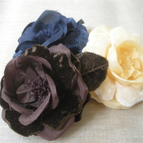 Velvet Rose Image 1