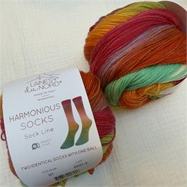 Laines Du Nord Harmonious Socks Thumbnail Image 2