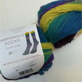 Laines Du Nord Harmonious Socks Thumbnail Image 3