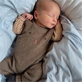 Teddy Pants Pattern Thumbnail Image 0