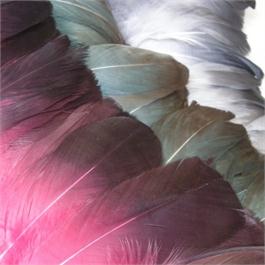 Dip-Dyed Goose Fringe thumbnail
